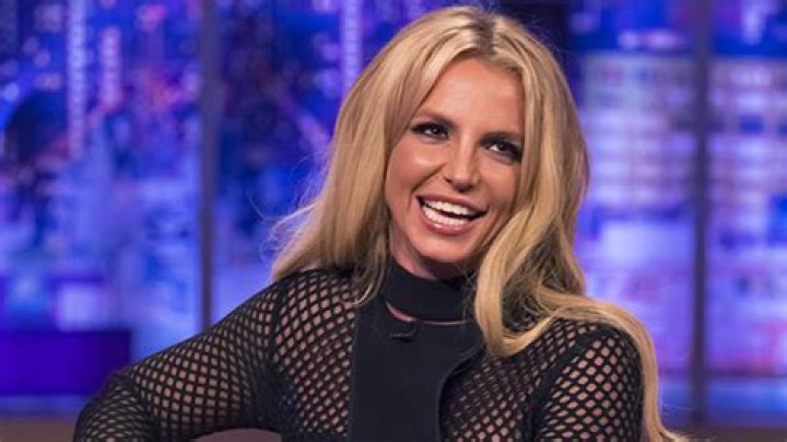 Britney Spears Introduces New Puppy Snow In Instagram Video – Hollywood Life