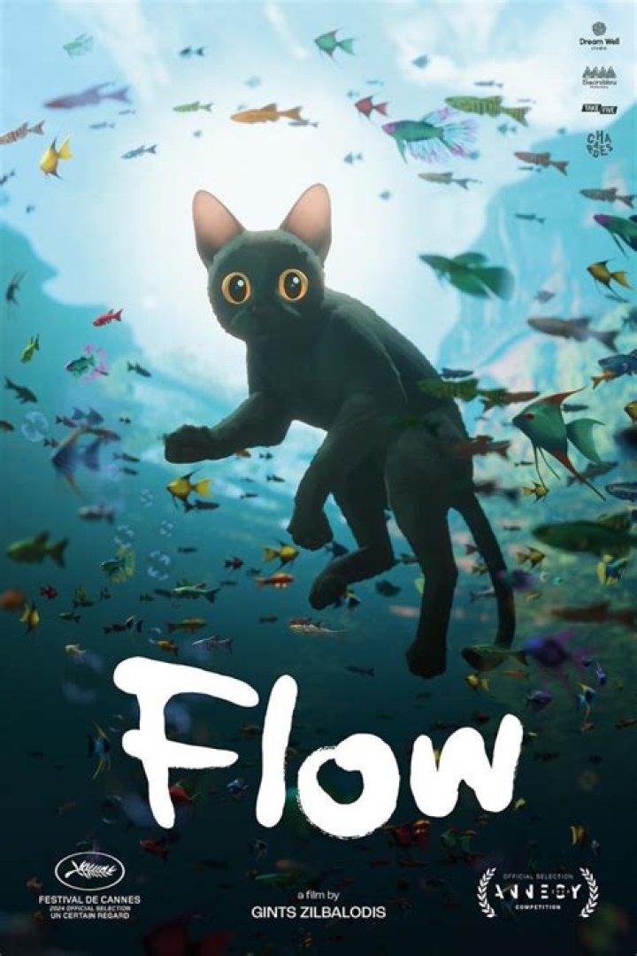 Flow — PICS