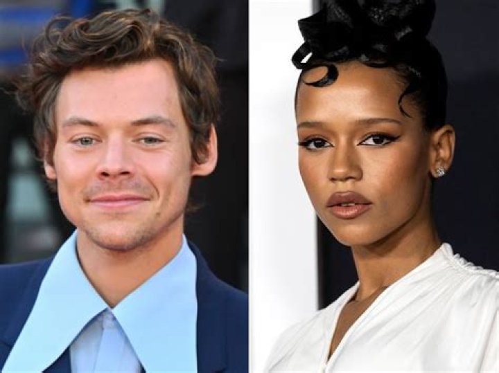 Harry Styles Had To Perform In Front Of 3 Exes At VS Show: Was It Totally Awkward?