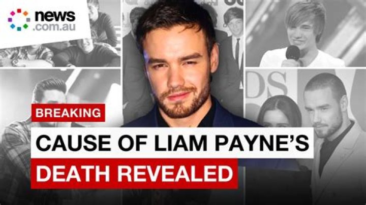Liam Payne & More – Hollywood Life