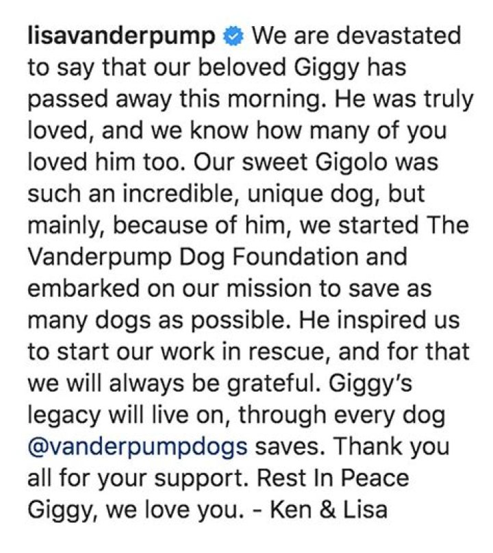 Lisa Vanderpump Gets Love From Andy Cohen & More After Dog Giggy Dies – Hollywood Life