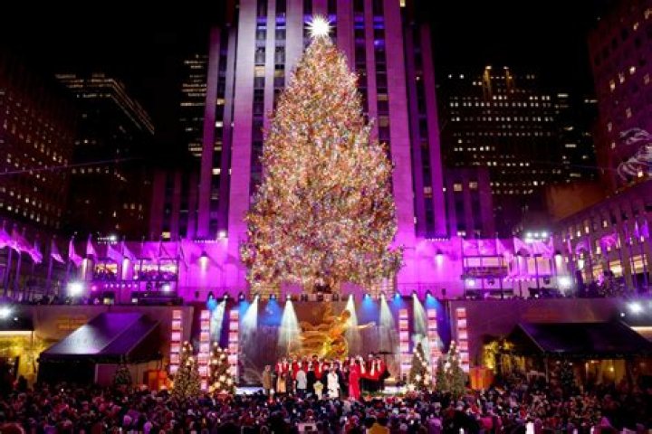 Live In NYC & Still Cut Down Your Own Christmas Tree — Pics