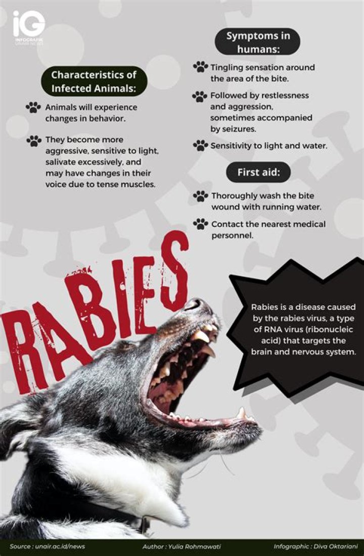 Miracle Girl, 8, Beats Rabies WITHOUT a Vaccine!