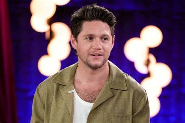 Niall Horan: The Mystery Girl In His Cuddly Photo Revealed