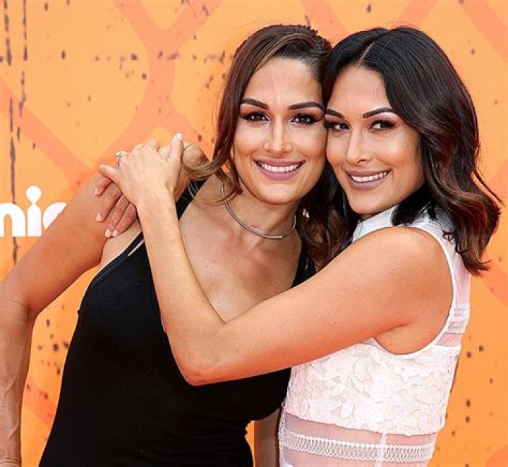 Nikki & Brie Bella Quit The WWE & Change Names To The Garcia Twins – Hollywood Life