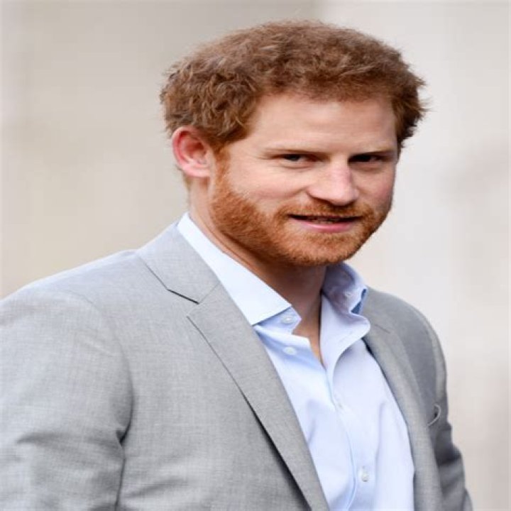 Prince Harry Celebrity Profile – Hollywood Life